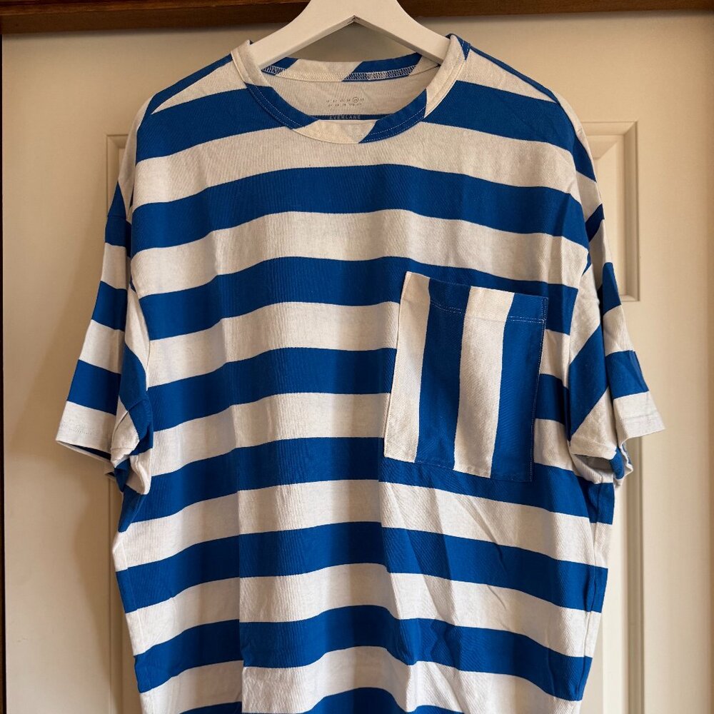 Everlane Oversized Striped Tshirt